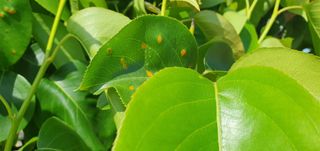 김익중님의 자유주제 · 자유게시판 작성글 사진