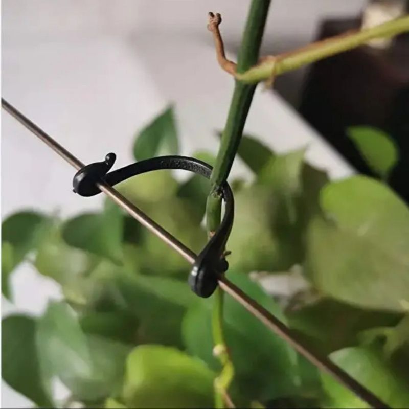 장터 상품 [일자클립 6.1cm 백개] 썸네일