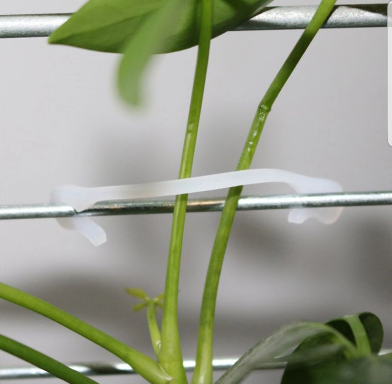 바이털사인님의 장터 판매 상품 [일자클립 6.1cm 백개] 첨부 사진