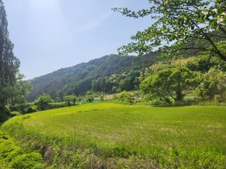 김상임님의 5월 내 작물 자랑하기·참여글 작성글 사진