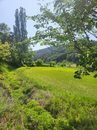 김상임님의 5월 내 작물 자랑하기 · 참여글 작성글 사진