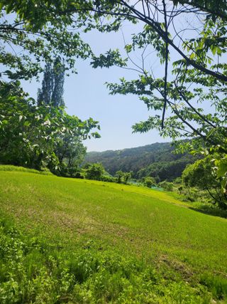 김상임님의 5월 내 작물 자랑하기 · 참여글 작성글 사진