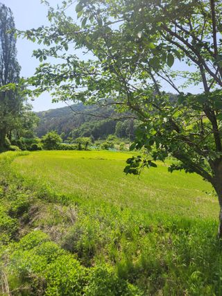 김상임님의 5월 내 작물 자랑하기 · 참여글 작성글 사진