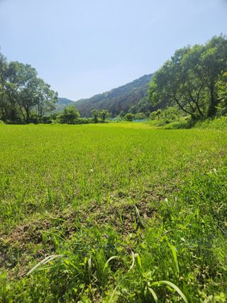 김상임님의 5월 내 작물 자랑하기 · 참여글 작성글 사진