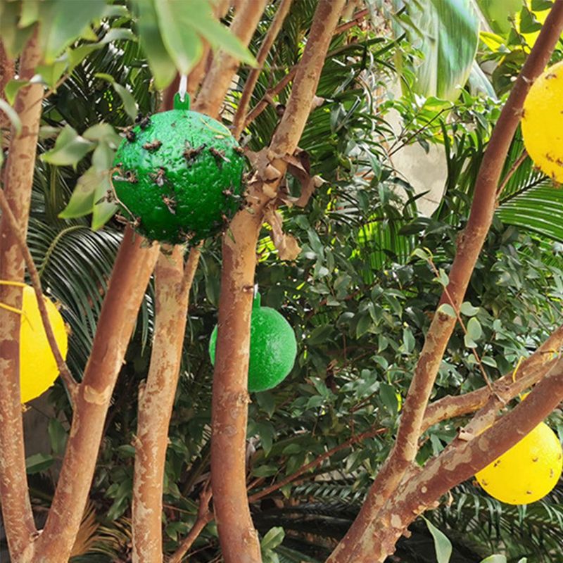 바이털사인님의 장터 판매 상품 [끈끈이볼] 첨부 사진