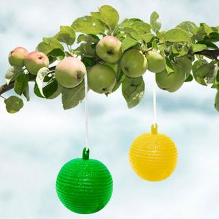 바이털사인님의 작성글 사진