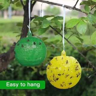 바이털사인님의 작성글 사진