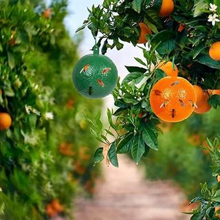 바이털사인님의 작성글 사진