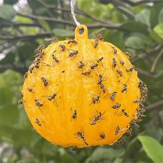 바이털사인님의 작성글 사진