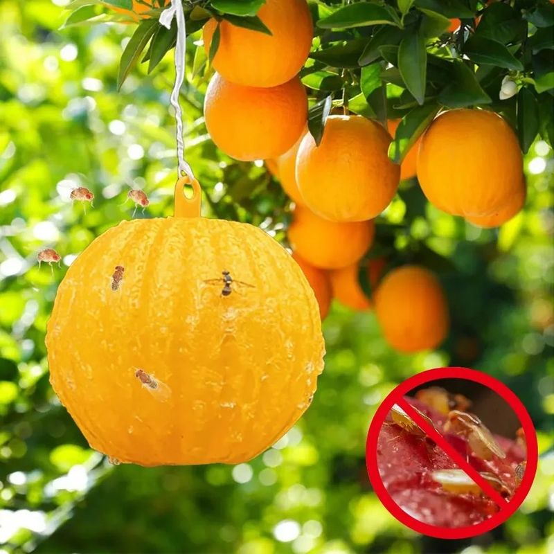 바이털사인님의 장터 판매 상품 [끈끈이볼] 첨부 사진