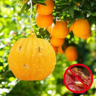 바이털사인님의 작성글 사진