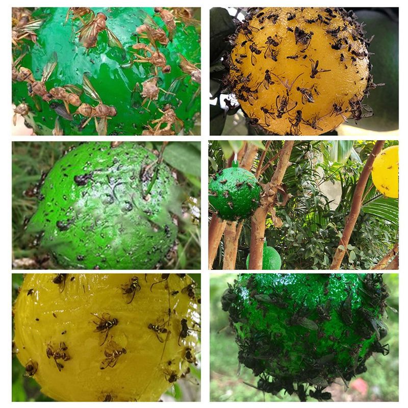 바이털사인님의 장터 판매 상품 [끈끈이볼] 첨부 사진