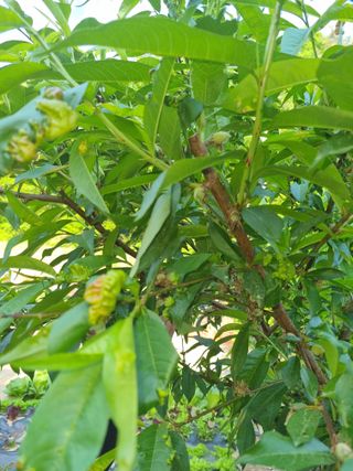 이지용님의 자유주제 · 자유게시판 작성글 사진