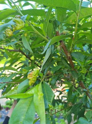 이지용님의 자유주제 · 자유게시판 작성글 사진