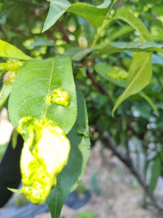 이지용님의 자유주제 · 자유게시판 작성글 사진