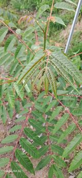 팜모닝 자유주제·자유게시판 게시글 이미지