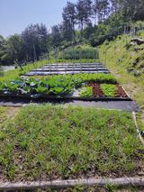 팜모닝 5월 내 작물 자랑하기·참여글 게시글 이미지