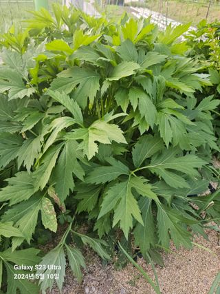 강성열님의 자유주제 · 사진전 작성글 사진