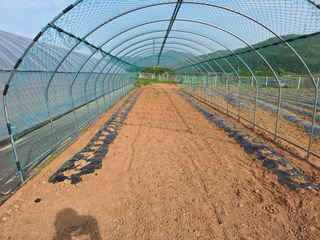 양성근님의 5월 내 작물 자랑하기 · 참여글 작성글 사진