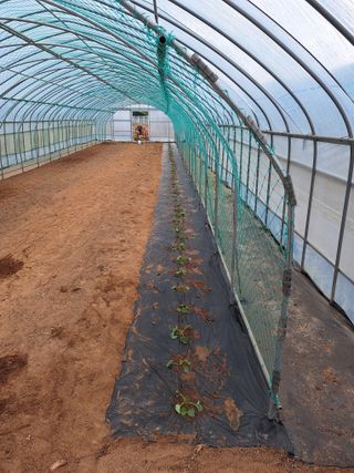 양성근님의 5월 내 작물 자랑하기 · 참여글 작성글 사진