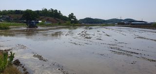 이흥옥님의 자유주제 · 자유게시판 작성글 사진