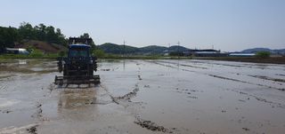 이흥옥님의 자유주제 · 자유게시판 작성글 사진