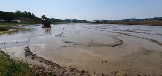 이흥옥님의 자유주제 · 자유게시판 작성글 사진