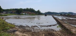 이흥옥님의 자유주제 · 자유게시판 작성글 사진