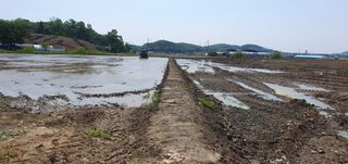 이흥옥님의 자유주제 · 자유게시판 작성글 사진