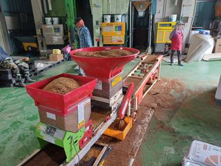 전영일님의 벼 · 영농일지 작성글 사진