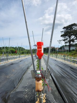 장재갑님의 고추 · 영농일지 작성글 사진