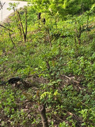 한상훈님의 자유주제 · 자유게시판 작성글 사진