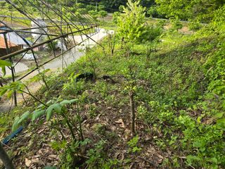 한상훈님의 자유주제 · 자유게시판 작성글 사진