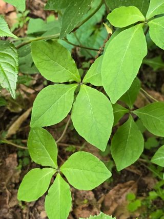 한상훈님의 자유주제 · 자유게시판 작성글 사진