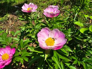 한상훈님의 자유주제 · 자유게시판 작성글 사진