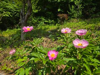 한상훈님의 자유주제 · 자유게시판 작성글 사진