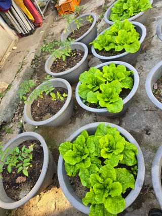 한상훈님의 자유주제 · 자유게시판 작성글 사진