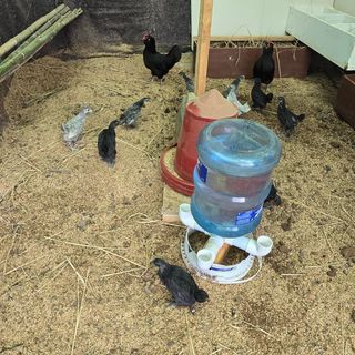 한상훈님의 자유주제 · 자유게시판 작성글 사진