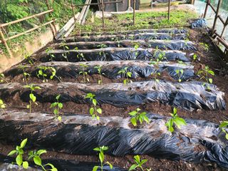 한상훈님의 자유주제 · 자유게시판 작성글 사진