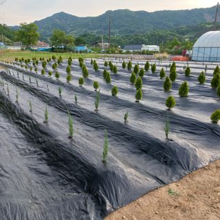 두두짱돌님의 자유주제 · 자유게시판 작성글 사진