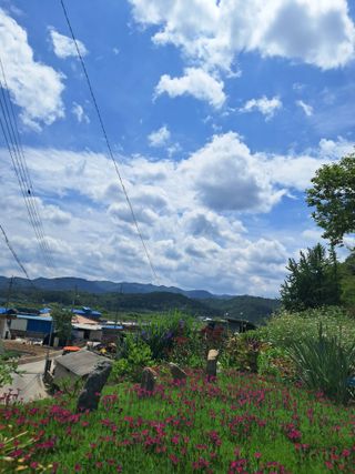 최평선님의 자유주제 · 사진전 작성글 사진