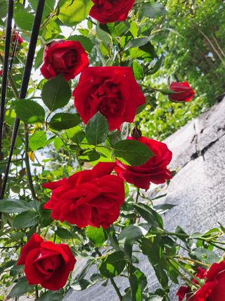 최평선님의 자유주제 · 사진전 작성글 사진