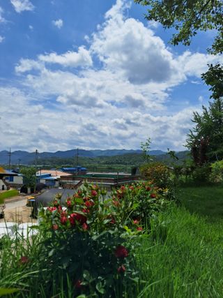 최평선님의 자유주제 · 사진전 작성글 사진