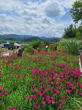 최평선님의 자유주제 · 사진전 작성글 사진