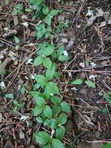 팜모닝 자유주제·자유게시판 게시글 이미지