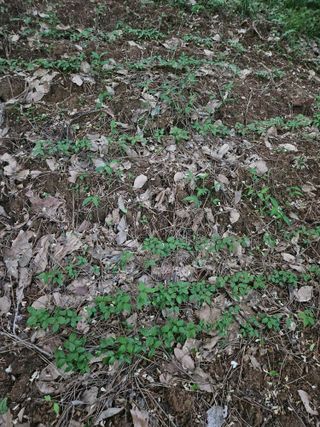 만능이되고픈농부님의 자유주제 · 자유게시판 작성글 사진