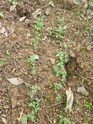 만능이되고픈농부님의 자유주제 · 자유게시판 작성글 사진