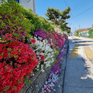 이종권님의 자유주제 · 자유게시판 작성글 사진