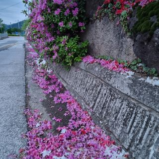 이종권님의 자유주제 · 자유게시판 작성글 사진