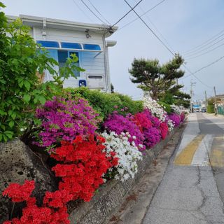 이종권님의 자유주제 · 자유게시판 작성글 사진